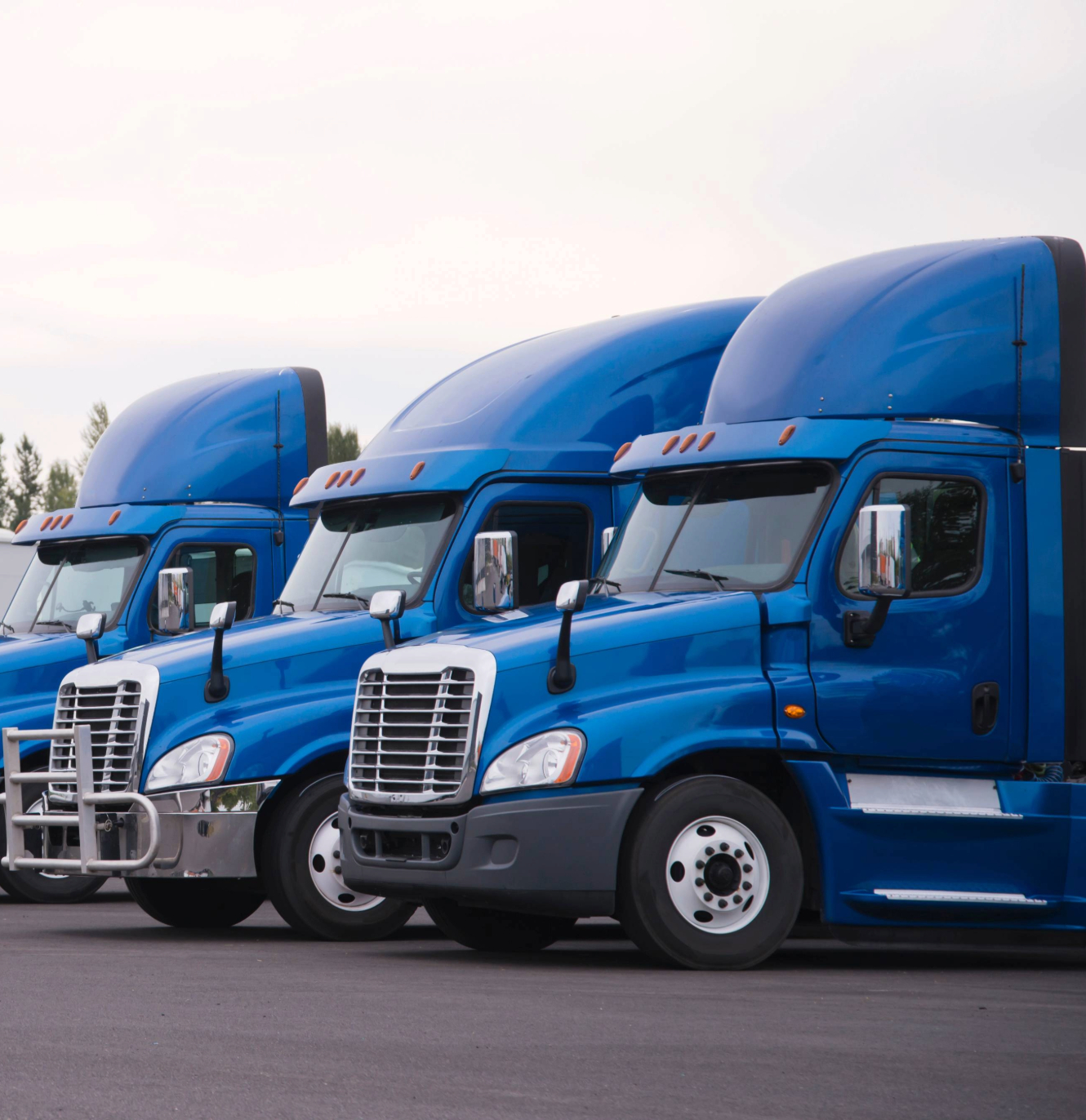 shutterstock_1241482885